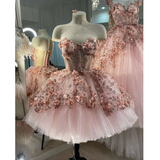 Chic Pink Prom Dresses Hand Made Flowers 18th Birthday Outfits HZ1022