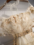 Champagne tulle lace long prom dress champagne formal dress HZ1024