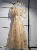 Champagne tulle lace long prom dress champagne formal dress HZ1024