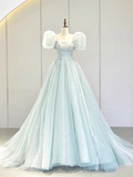 Ball Gown Short Sleeves Tulle Light Sky Blue Long Prom Dresses HZ1024