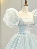 Ball Gown Short Sleeves Tulle Light Sky Blue Long Prom Dresses HZ1024