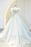 Ball Gown Short Sleeves Tulle Light Sky Blue Long Prom Dresses HZ1024
