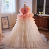 Vintage Ball Gown Strapless Ombre Pink Tulle Florwers Sweet 16 Dresses HZ1024