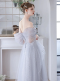 Simple A-Line Off Shoulder Tulle Sequin Gray Long Prom Dress HZ1024