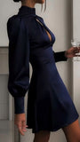 Cute A Line High Neckline Long Sleeves Navy Blue Homecoming Dress 18th Birthday Outfit HZ1024