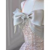 Fairytale A line Straps Sequin Long Evening Dress Prom Dress HZ1024