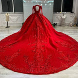 Dreamy Ball Gown V Neckline Red Long Sleeves Lace Long Wedding Dresses With Beads HZ1024