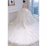 Luxury Ball Gown V Neckline Long Sleeves Lace Wedding Dress HZ1024