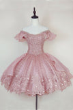 Cute Ball Gown Off The Shoulder Lace Pink Homecoming Dress Short Birthday Outfit HZ1024