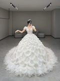 Gorgeous Ball Gown V Neck Tulle Applique Short Sleeves Long Wedding Dresses HZ1024