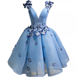 Elegant Ball Gown Blue Birthday Outfits Tulle Homecoming Dresses With Butterfly HZ1024