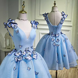 Elegant Ball Gown Blue Birthday Outfits Tulle Homecoming Dresses With Butterfly HZ1024