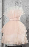 Stunning A line Pink Short Party Dress Tulle Homecoming Dress HZ1024