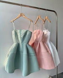 Vintage A line Straps Sleeveless Lace Mini Homecoming Dress HZ1024