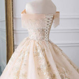 Luxury Ball Gown Off The Shoulder Lace Long Prom Dresses HZ1024