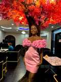 Chic 3D Lace Collar Pink Satin Hip-hugging 17th Birthday Homecoming Dress HZ1022