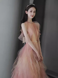Lovely A line Pink Tulle Long Prom Dress HZ1024